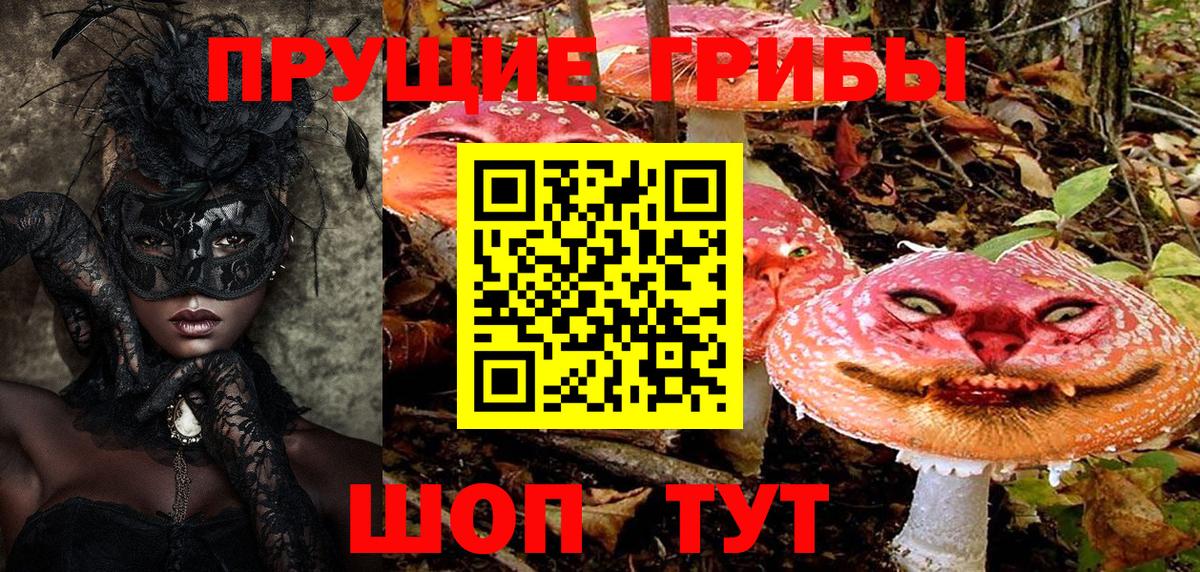 Галлюциногенные грибы Psilocybine cubensis  Галлюциногенные грибы Psilocybe  Вход с VPN  Еманжелинск 
